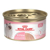 Royal Canin - Kitten Loaf in Sauce Wet Cat Food