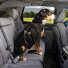 Kurgo - Direct to Seatbelt Swivel Tether