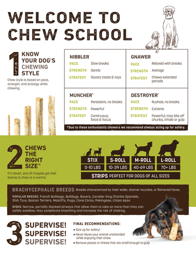 Earth Animal - No-Hide Beef Rolls Dog Treat