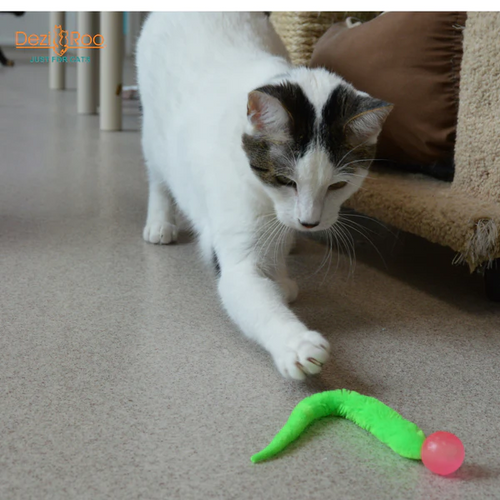 Dezi & Roo - Wiggly Ball Cat Toy