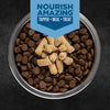 Orijen - Original, Epic Bites Freeze-Dried Dog Food