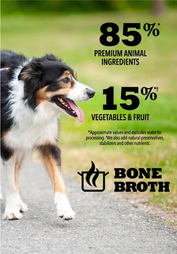 Acana - Premium Pate, Puppy Recipe in Bone Broth Wet Dog Food