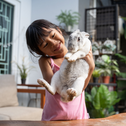 Small Animal Food & SuppliesChild holding pet rabbit