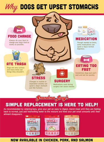 Grandma Lucy's - Simple Replacement Chicken & Rice Dry Dog Food