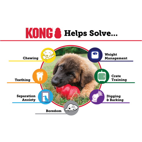 Kong - Classic Dog Toy