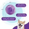 Outward Hound - Orbee-Tuff Mazee Interactive Puzzle Dog Toy