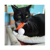 Dezi & Roo - Wiggly Pong Cat Toy