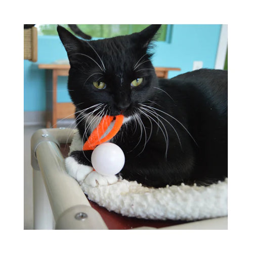Dezi & Roo - Wiggly Pong Cat Toy