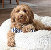 Tall Tails - Navy Braided Bone Dog Toy