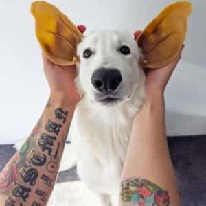 Whimzees - Ears Daily Dental Treat for Dogs