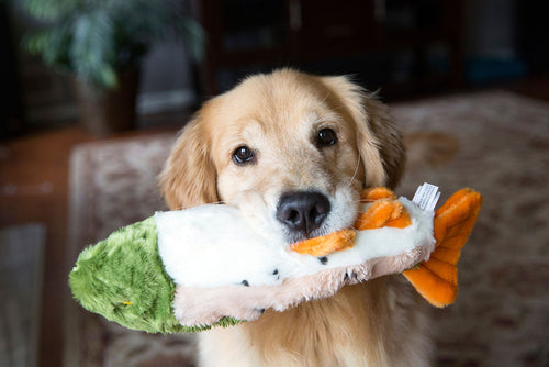 Fluff & Tuff - Ruby Rainbow Trout Dog Toy