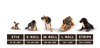 Earth Animal - No-Hide Salmon Rolls Dog Treat