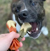 Whimzees - Brushzees Daily Dental Treat for Dogs