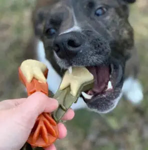 Whimzees - Brushzees Daily Dental Treat for Dogs