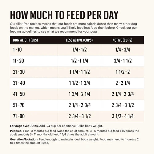 The Honest Kitchen - Grain-Free Chicken Clusters Dry Dog Food