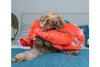 Fluff & Tuff - Manny Lobster Dog Toy