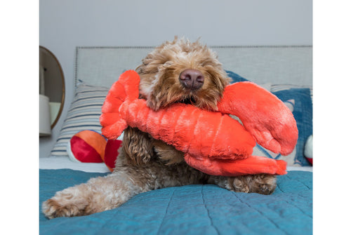 Fluff & Tuff - Manny Lobster Dog Toy