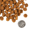Fromm - Pork & Peas Recipe Dry Dog Food