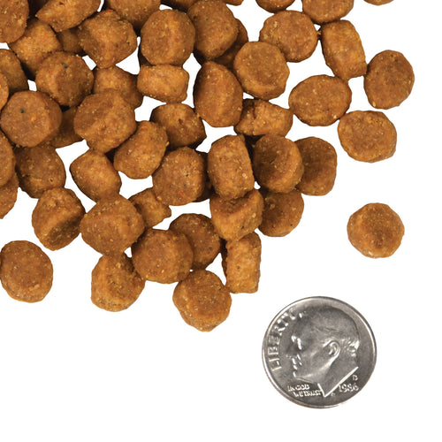 Fromm - Pork & Peas Recipe Dry Dog Food