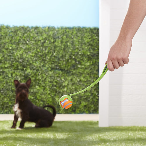 Chuckit! - Launchers Dog Toys