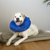 Kong - Cloud Collar