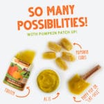 Weruva - Pumpkin with Ginger & Turmeric Wet Food