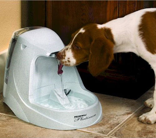 PetSafe - Drinkwell Platinum Pet Fountain, 1.3gal