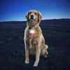 Nite Ize - SPOTLIT® COLLAR LIGHT