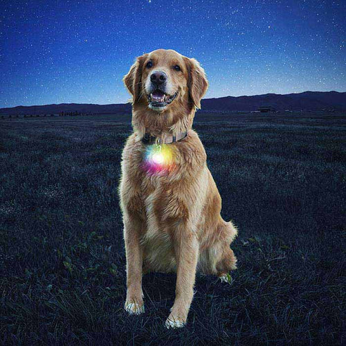 Nite Ize - SPOTLIT® COLLAR LIGHT