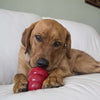 Kong - Bacon & Cheese Snacks Dog Treats