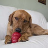 Kong - Peanut Butter Snacks for Dogs