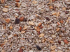 Des Moines Feed - Regal Blend Seed