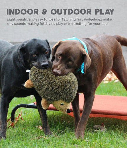 Outward Hound - Hedgehogz Dog Toy